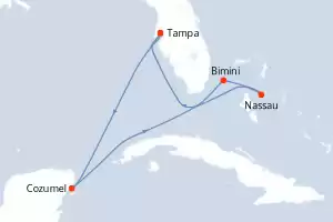 Celebrity Summit