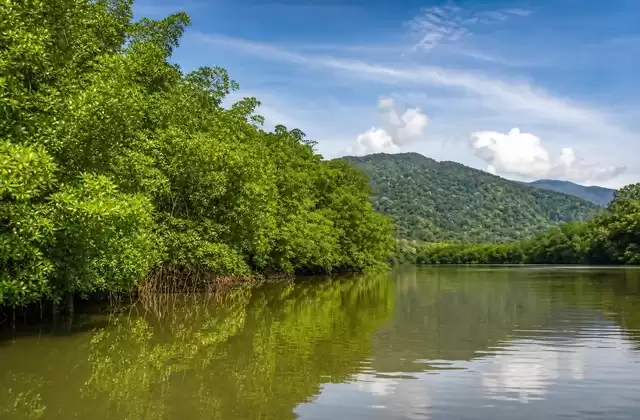 En la región de Tárcoles