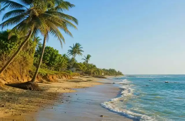 En la Petite-Côte