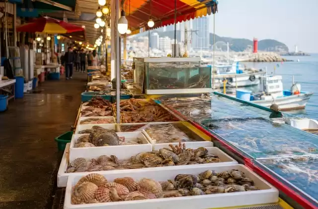 Sokcho Tourist & Fishery Market