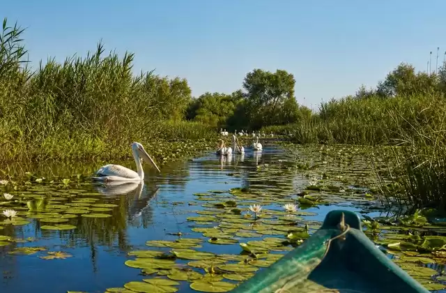 El delta del Danubio en una pequeña embarcación