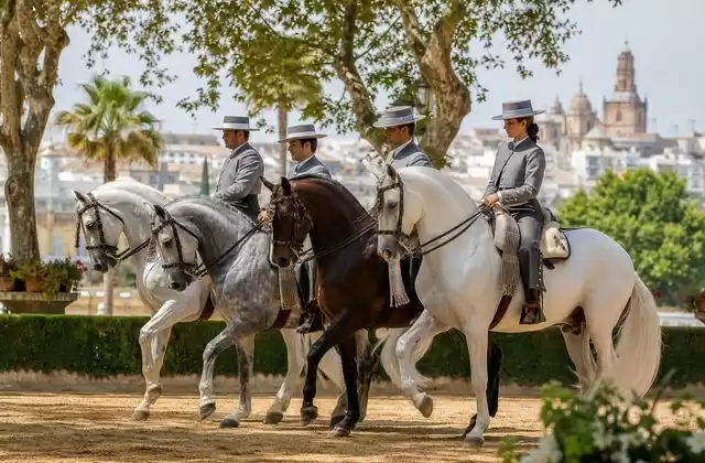 Espectáculo ecuestre andaluz